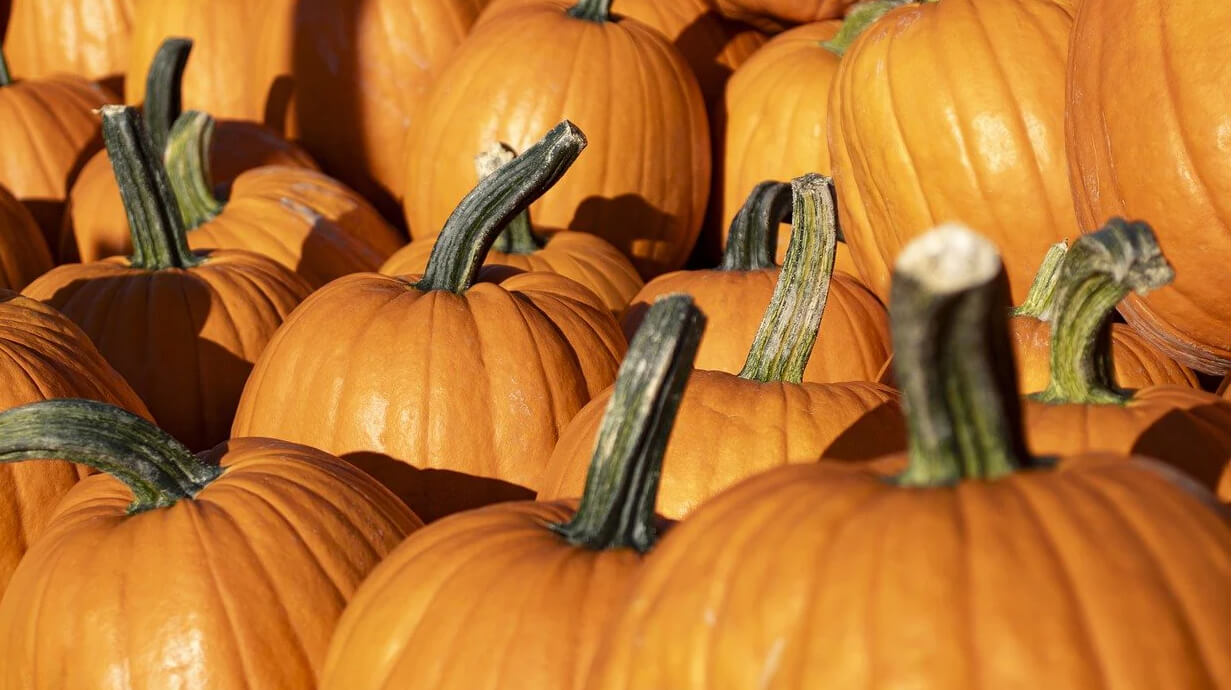 pompoen natuurlijk middel tegen een vergrote prostaat