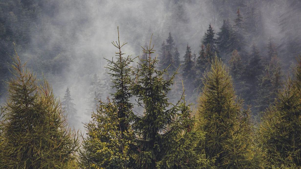 vrouw moet vaak plassen en zoekt een oplossing