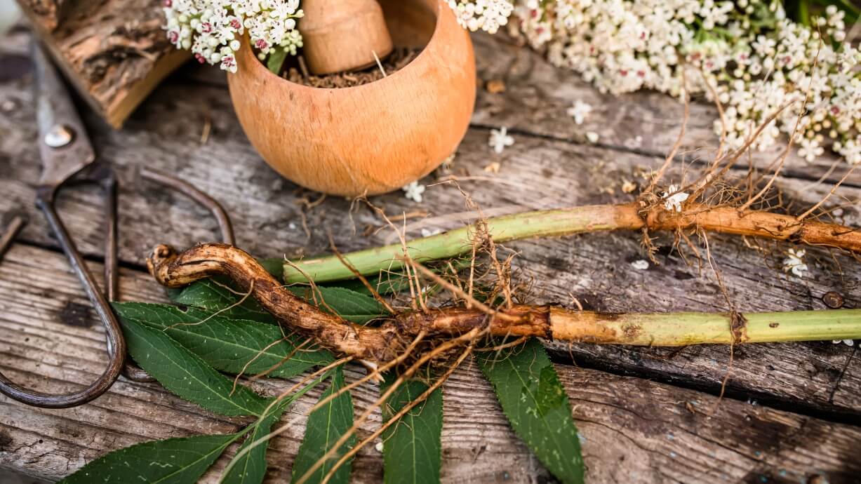de beste natuurlijke supplementen tijdens de overgang