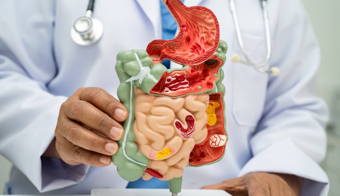 overzicht van het maag- darmstelsel