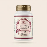 Pauza 21