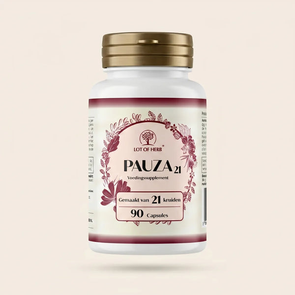 Pauza 21