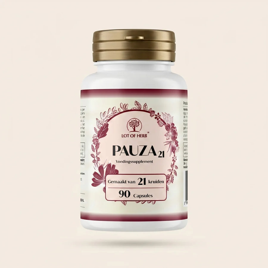 Pauza 21